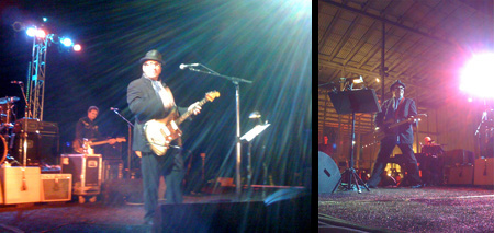 Elvis Costello rocks out on the Academy's west lawn.